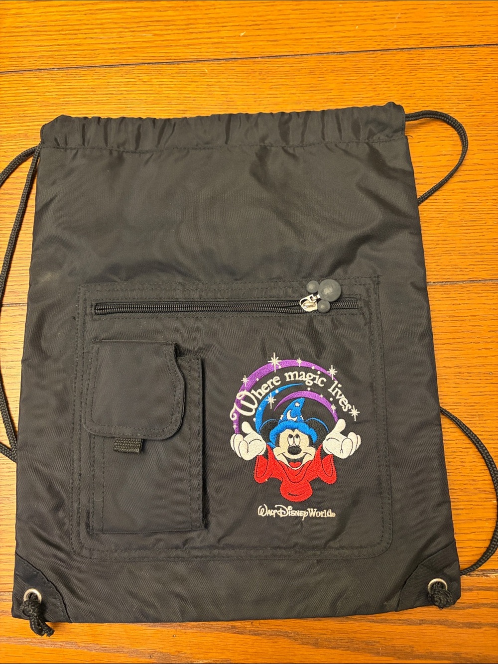 Disney Bag